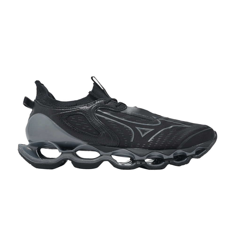 Кроссовки Mizuno Wave Prophecy 14 'Black Metallic Grey'