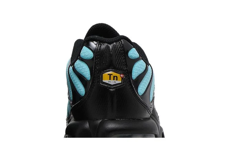 Кроссовки Nike Air Max Plus 'Aqua Silver'