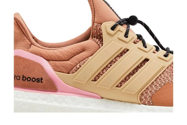 Кроссовки adidas Wmns UltraBoost 1.0 'Clay Strata Bliss Pink'