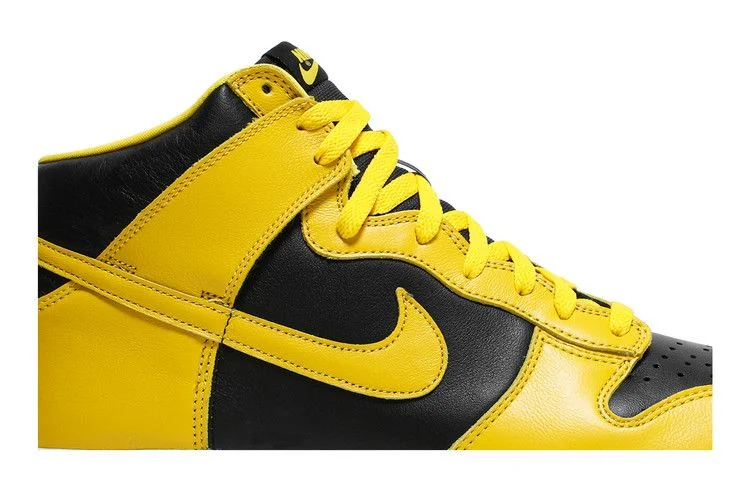 Кроссовки Nike Dunk High SP 'Iowa' 2020