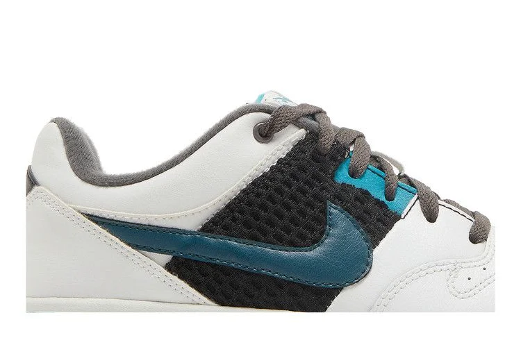 Krossovki-Nike-Cush-JR-6.0-GS-1