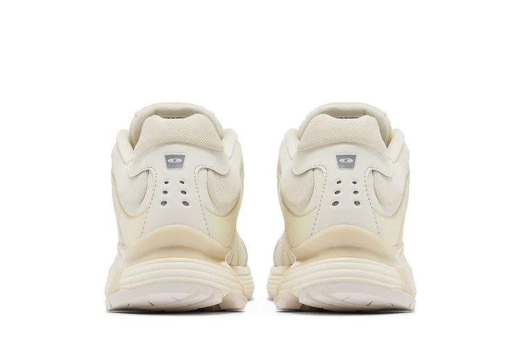 Кроссовки Salomon XT-Whisper 'Vanilla Ice'