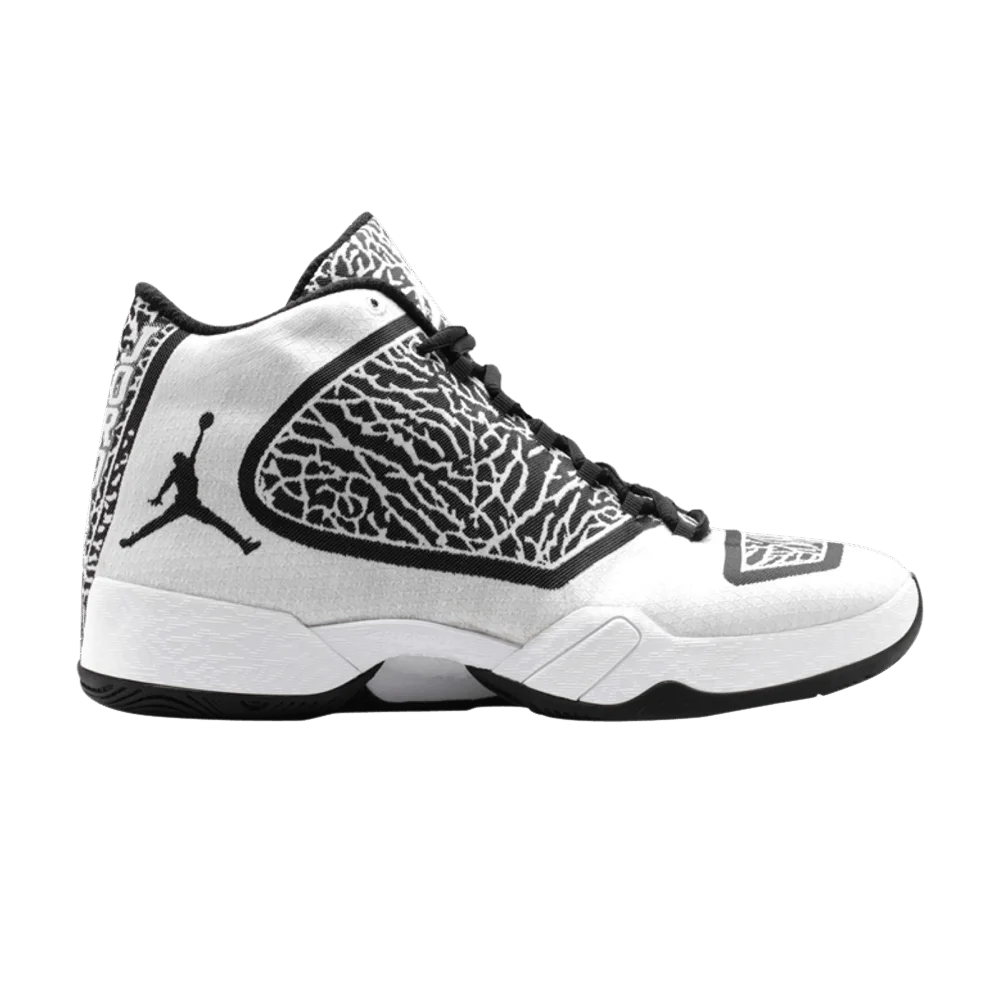 Krossovki-Air-Jordan-29-Cement