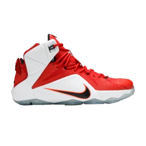 lebron-12-heart-of-a-lion-684593-601-300x300