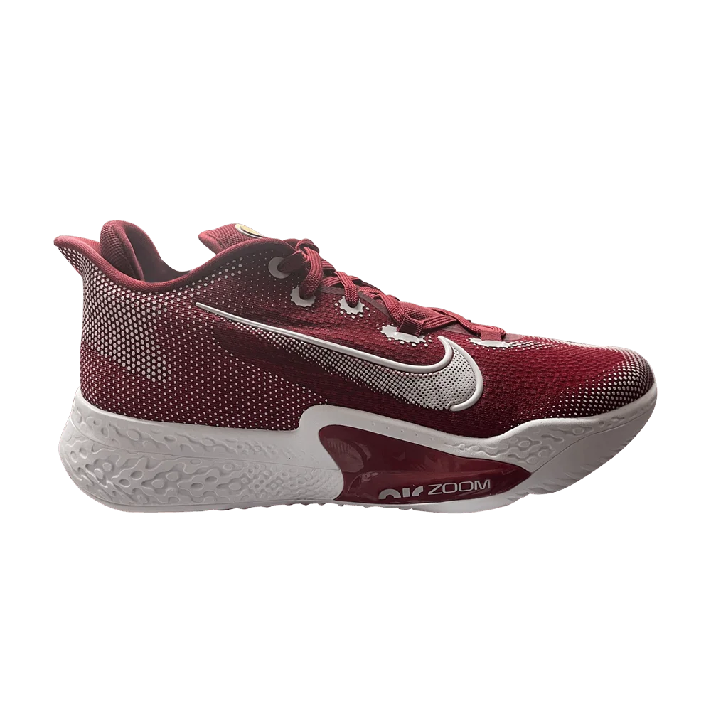 Кроссовки Nike Air Zoom BB NXT TB 'Team Red'