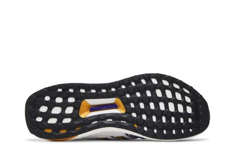 Кроссовки NCAA x adidas UltraBoost 1.0 'Washington Huskies'