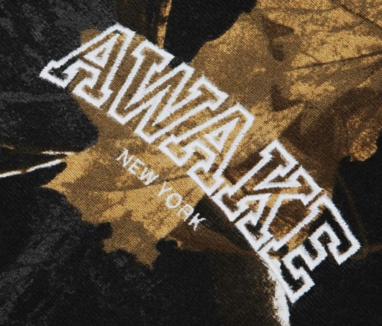 Худи Awake Blocked Logo with Stripe Rib Hoodie Real Tree