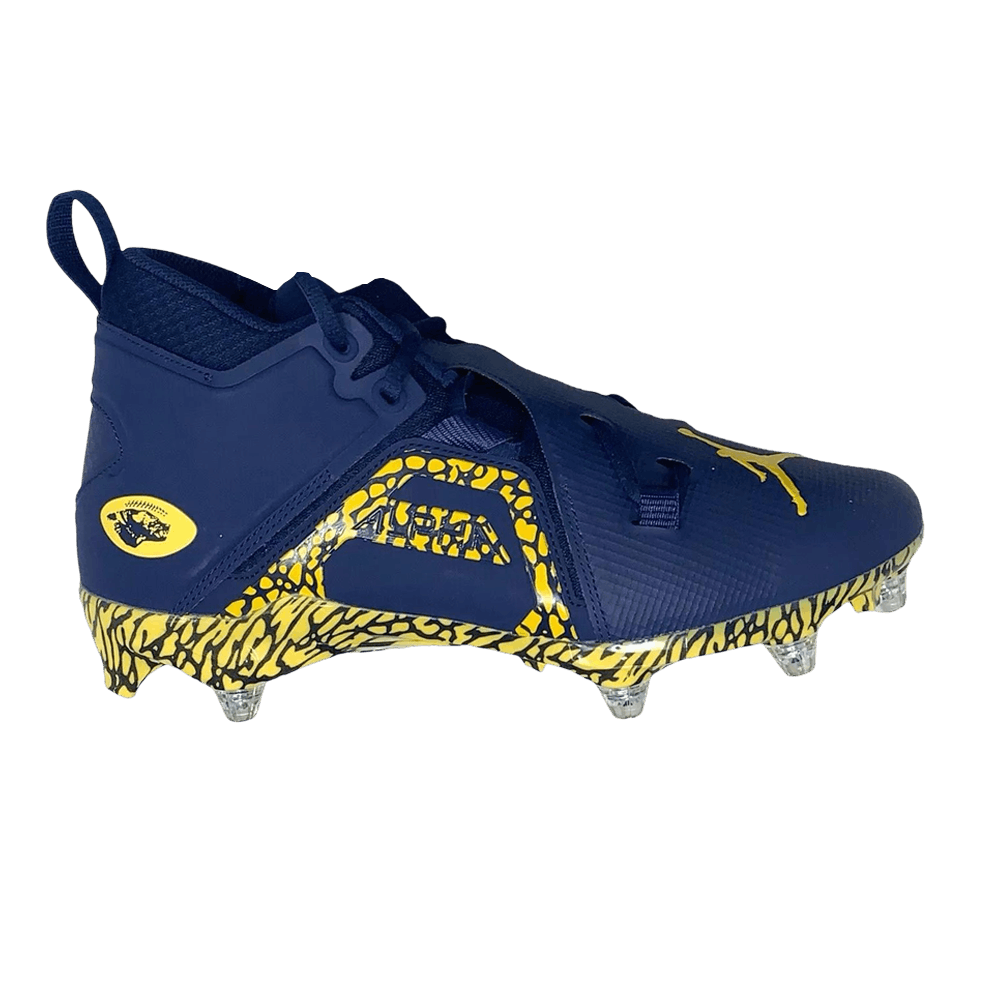 Кроссовки Air Jordan Alpha Menace Pro 3 'Michigan' PE