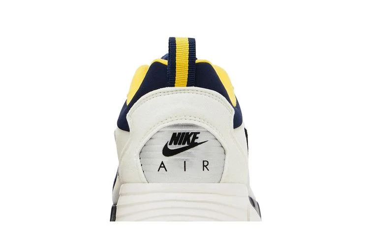 Кроссовки Nike Air Max Solo 'NCAA Pack - Michigan'