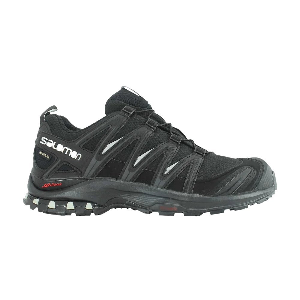 Кроссовки Salomon Wmns XA Pro 3D GORE-TEX 'Black Mineral Grey'