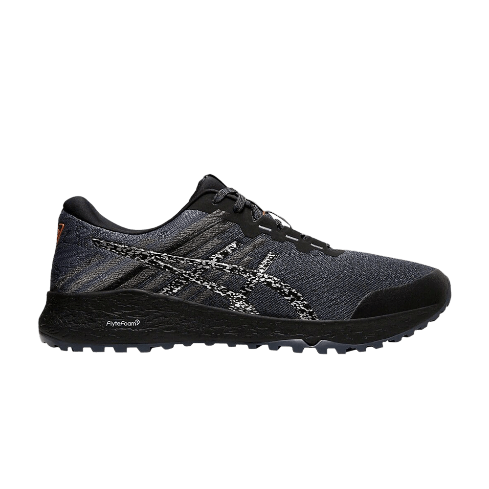 Кроссовки ASICS Alpine XT 2 'Carrier Grey Silver'