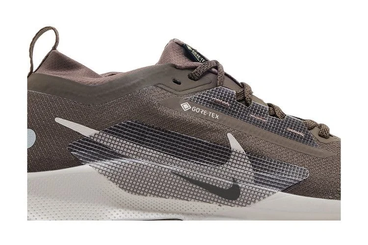 Кроссовки Nike Pegasus Trail 5 GORE-TEX 'Ironstone Velvet Brown'