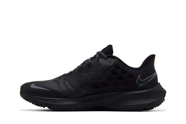 Кроссовки Nike Wmns Air Zoom Pegasus 39 Shield 'Triple Black'