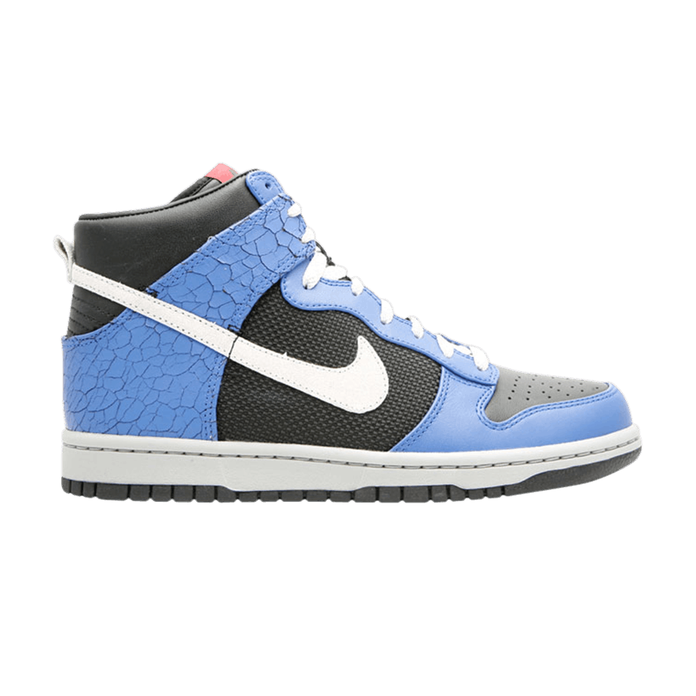 dunk-high-premium-317892-001