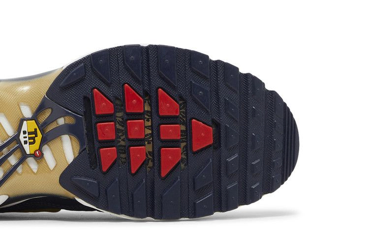 Кроссовки Nike Air Max Plus 'French Football Federation'