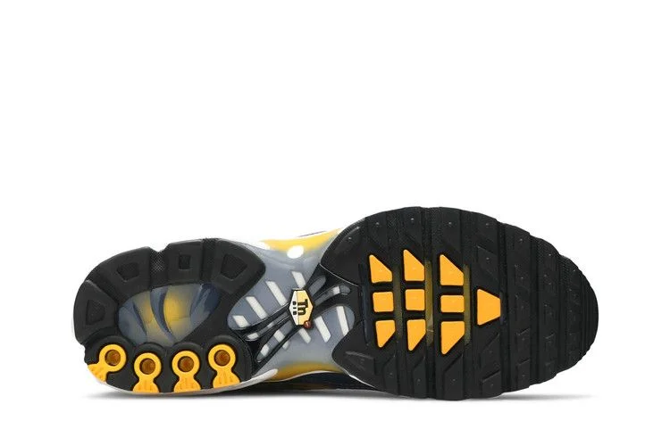 Кроссовки Nike Air Max Plus 'Wave Grid'