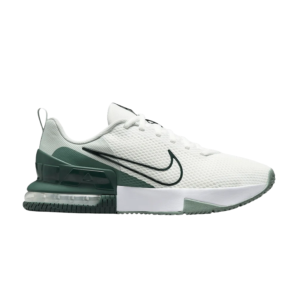 Krossovki-Nike-Air-Max-Alpha-Trainer-6-Summit-WhiteLight-SilverSeaweedSeaweed
