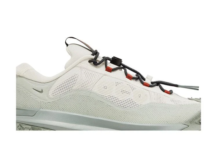 Кроссовки Nike ACG Mountain Fly 2 Low GORE-TEX 'Phantom Light Silver'