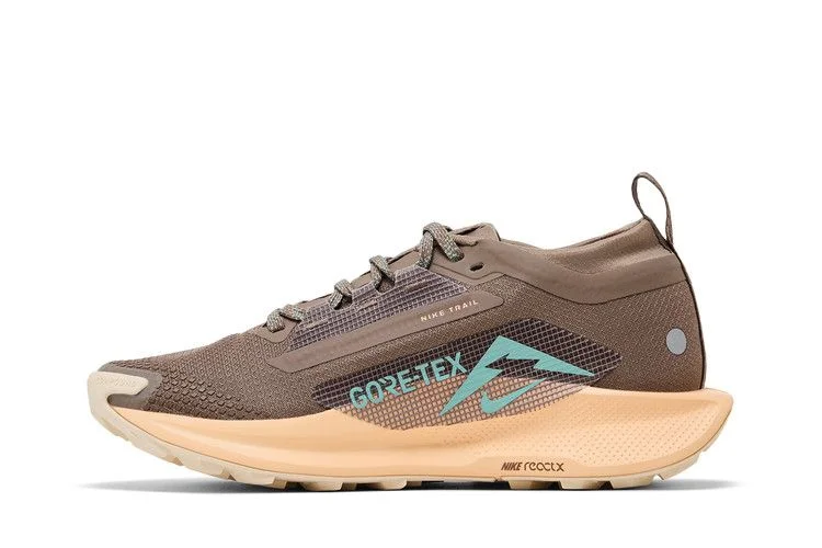 Кроссовки Nike Wmns Pegasus Trail 5 GORE-TEX 'Mink Brown Orange Chalk'