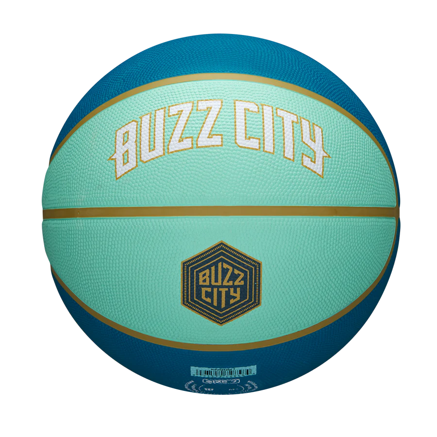 Wilson-Charlotte-Hornets-2024-City-Edition-NBA-Basketball