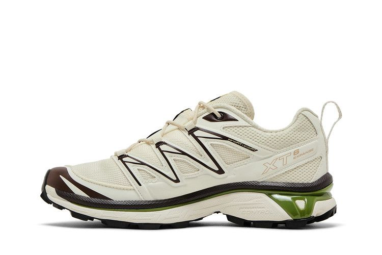 Кроссовки Salomon XT-6 Expanse 'Vanilla Ice Black Coffee'
