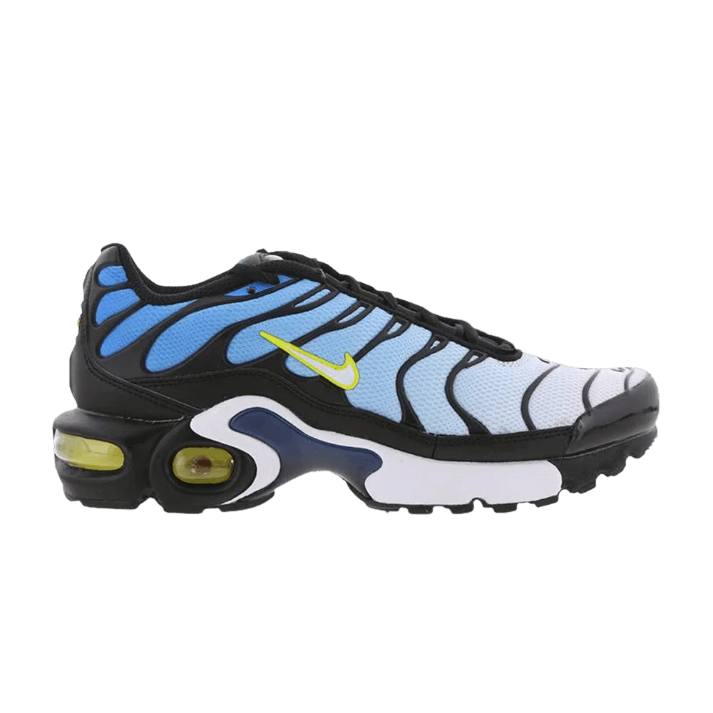 Krossovki-Nike-Air-Max-Plus-GS-Photo-Blue