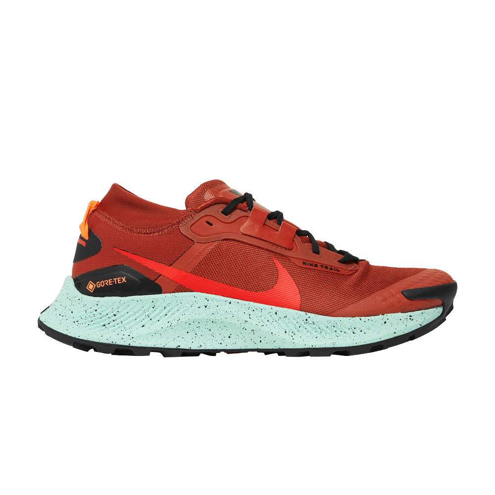 Кроссовки Nike Pegasus Trail 3 GTX 'Rugged Orange'