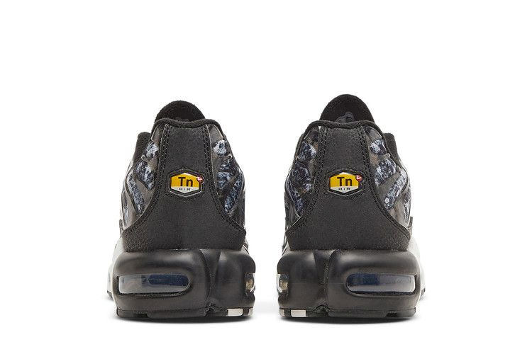 Кроссовки Nike Air Max Plus 'Shattered Ice - Black'