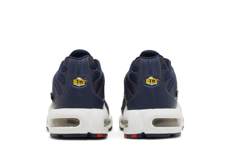 Кроссовки Nike Air Max Plus 'French Football Federation'