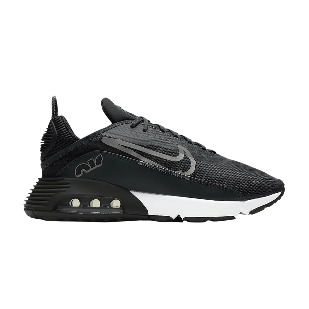 Krossovki-Nike-Air-Max-2090-Black-Metallic-Silver