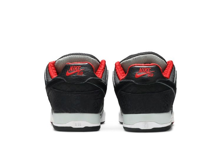 paul-rodriguez-2-zoom-air-315459-001_05