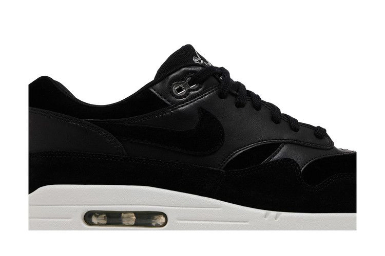 Кроссовки Nike Air Max 1 Premium 'Rebel Skulls'