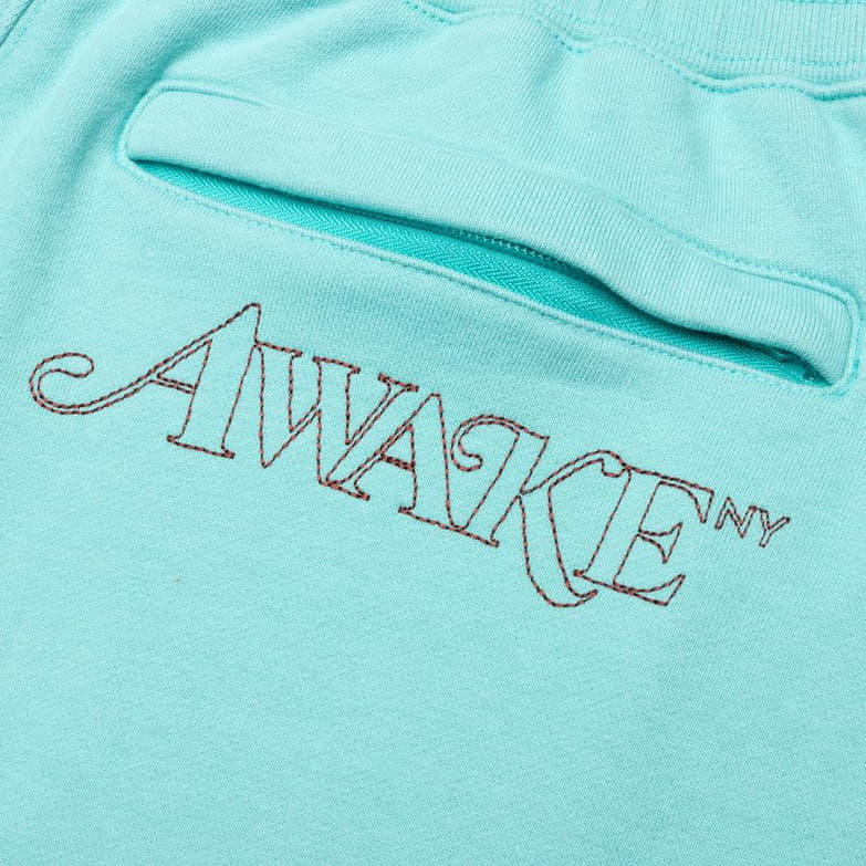 Спортивные штаны Awake Classic Outline Logo Paneled Embroidered Sweatpant Teal