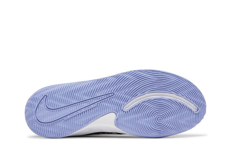 Кроссовки Nike Team Hustle D9 GS 'Black Light Thistle'