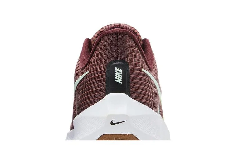 Кроссовки Nike Wmns Air Zoom Pegasus 39 'Canyon Rust'