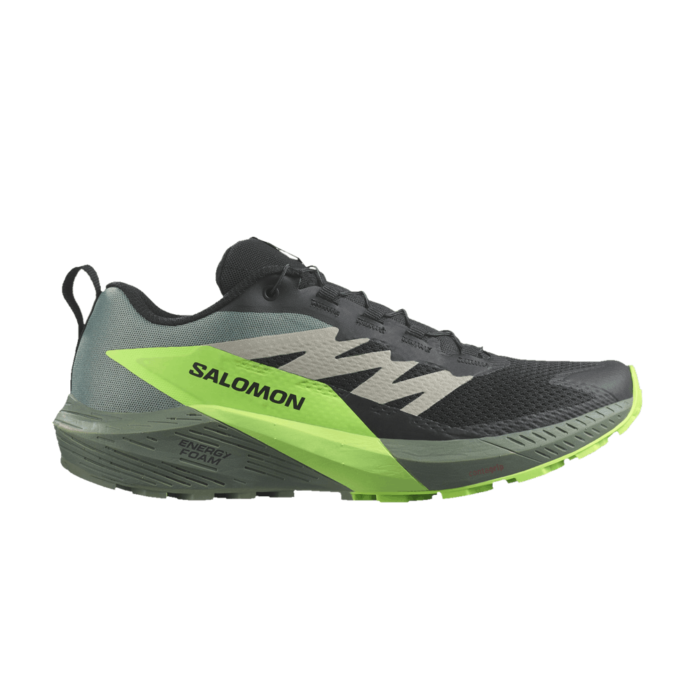Кроссовки Salomon Sense Ride 5 'Black Green Gecko'