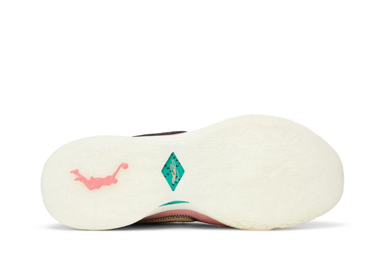 Кроссовки Nike LeBron 20 NRG EP 'South Beast'