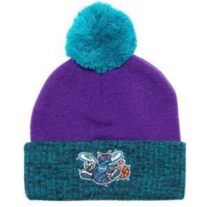 Mitchell-Ness-Two-Tone-Pom-Beanie-HWC-Charlotte-Hornets-Beanie-300x300