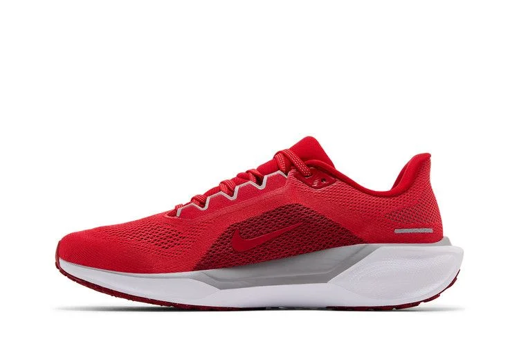 Кроссовки Nike Air Zoom Pegasus 41 'Ohio State'
