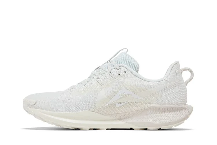 Кроссовки Nike Pegasus Trail 5 'Summit White Sail'