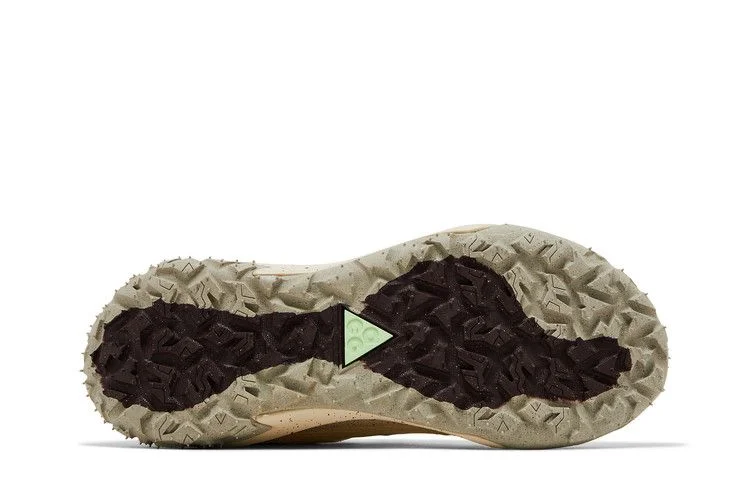 Кроссовки Nike ACG Mountain Fly 2 Low 'Sail Earth'