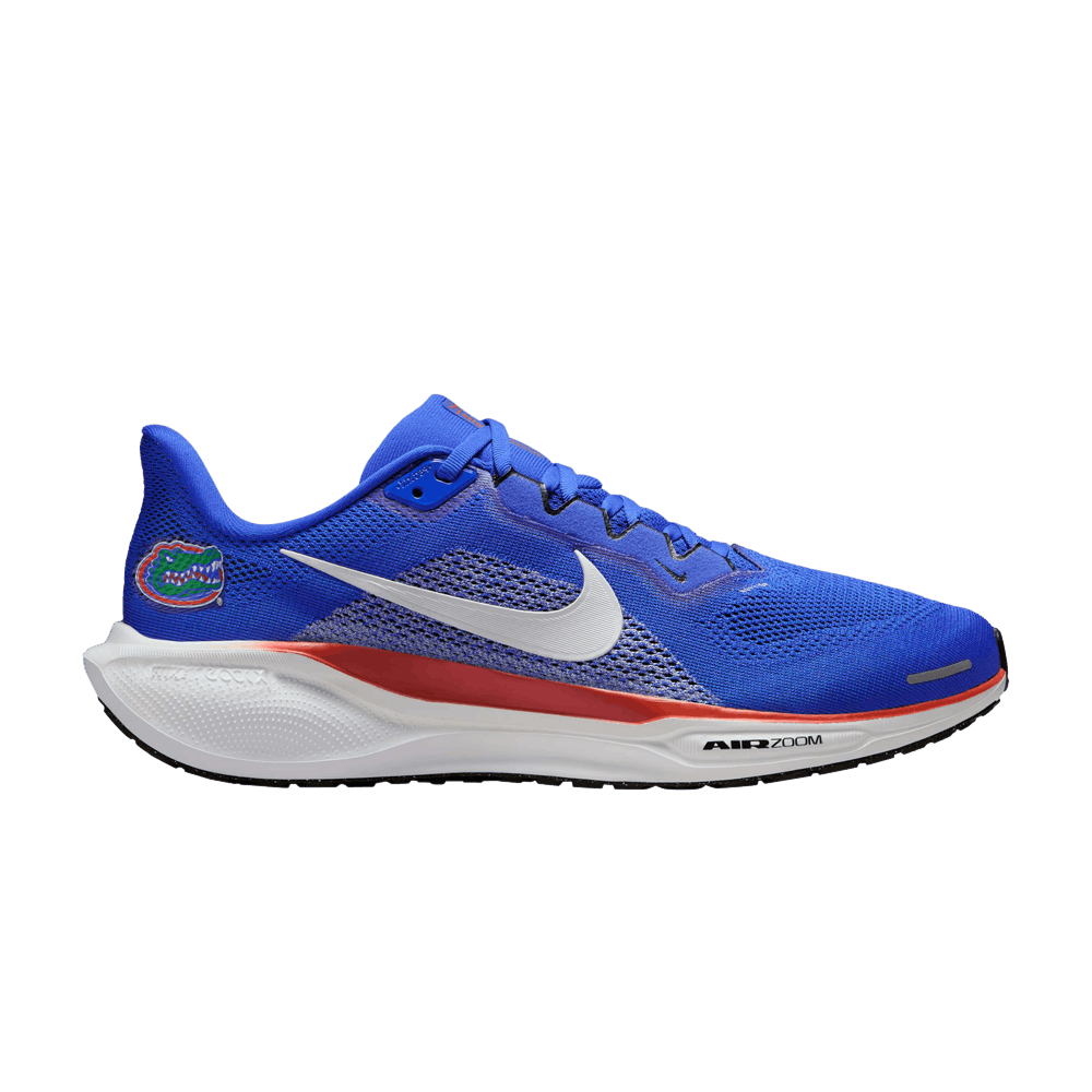 Кроссовки NCAA x Nike Air Zoom Pegasus 41 'Florida'