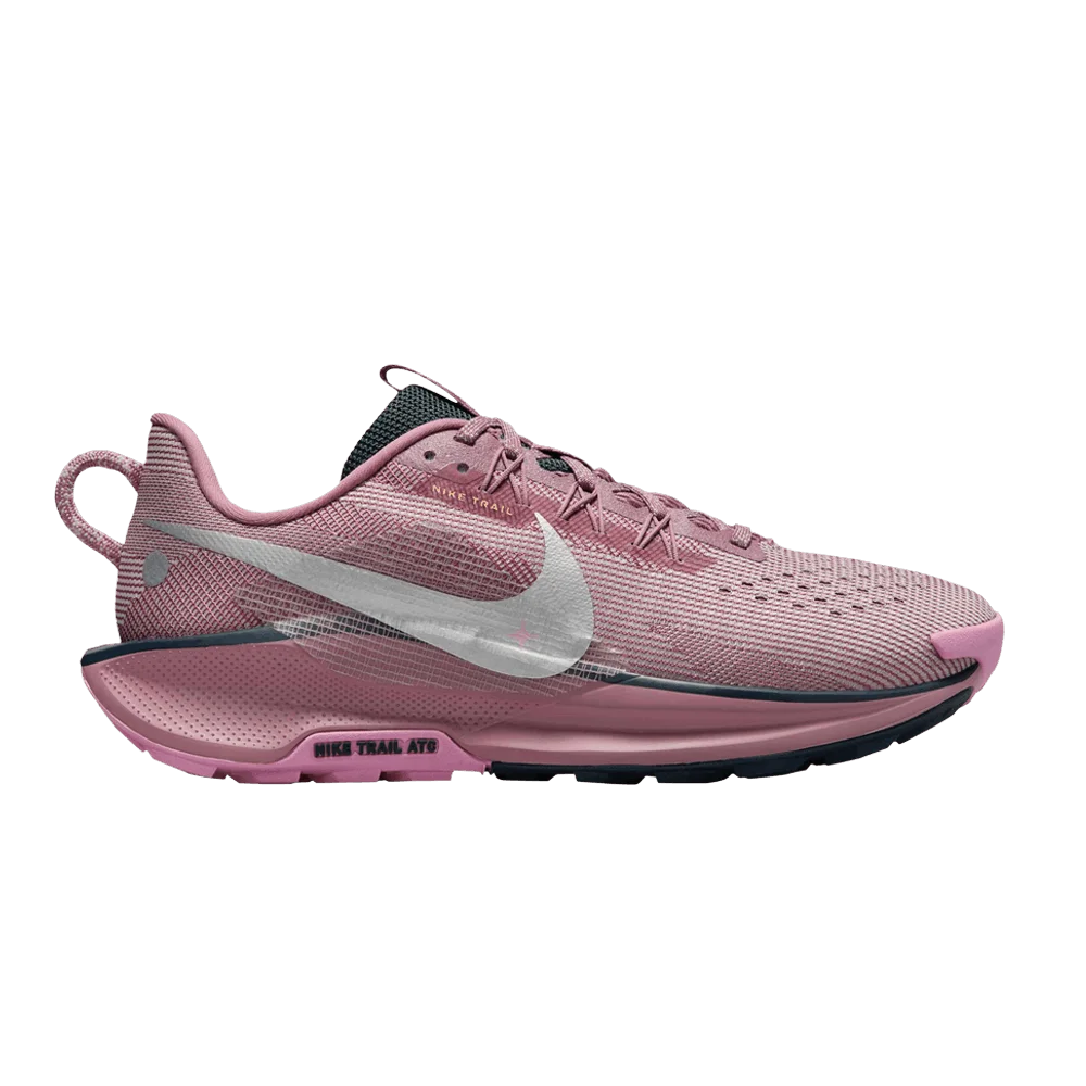 Кроссовки Nike Wmns Pegasus Trail 5 'Plum Dust'
