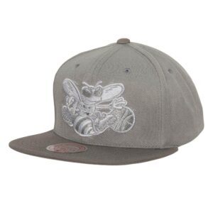 Mitchell-Ness-Metallic-Grey-Snapback-HWC-Charlotte-Hornets-Hat-300x300