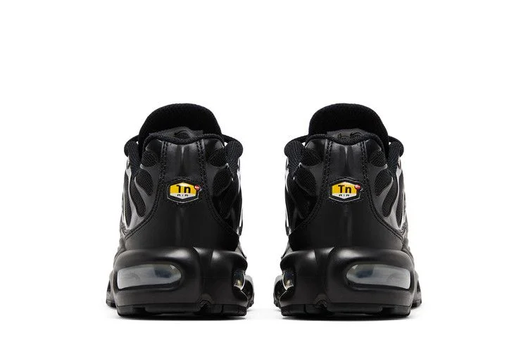 Кроссовки Nike Wmns Air Max Plus 'Triple Black'