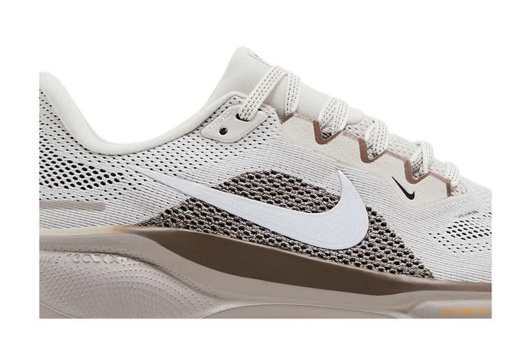 Кроссовки Nike Wmns Air Zoom Pegasus 41 'Phantom Mink Brown'