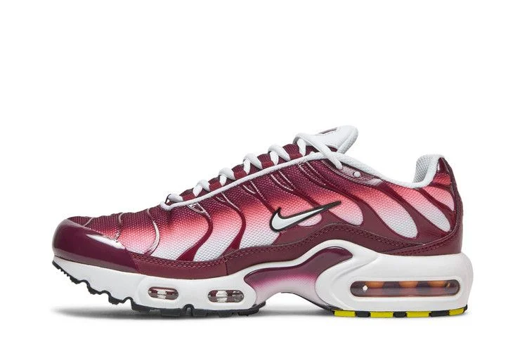 Кроссовки Nike Air Max Plus GS 'Dark Beetroot'