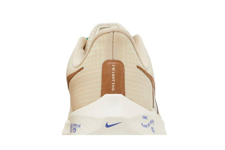 Кроссовки Nike Air Zoom Pegasus 39 Premium 'Moving Company'