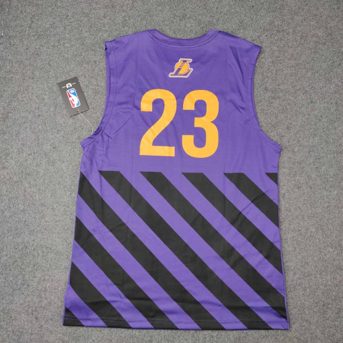 Спортивная майка 2020 Los Angeles Lakers James 23 Purple Shirt