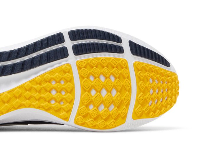 Кроссовки Nike Air Zoom Pegasus 39 'Michigan'